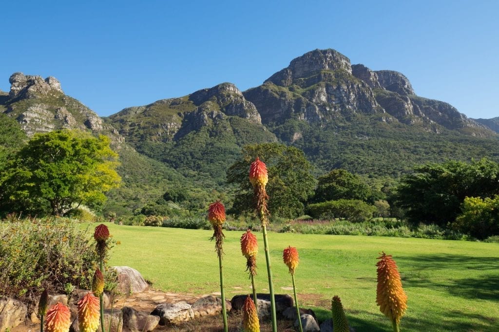 Kirstenbosch