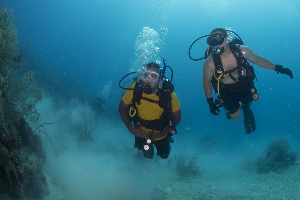 Belize diving