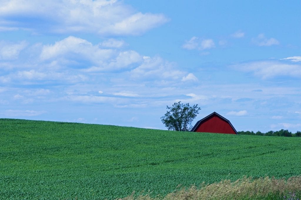 Maine, Farm